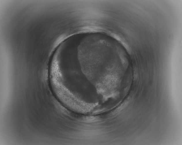 X0000111631459200908071401