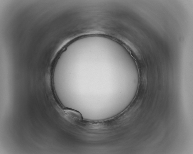 X0000111631460200908071401