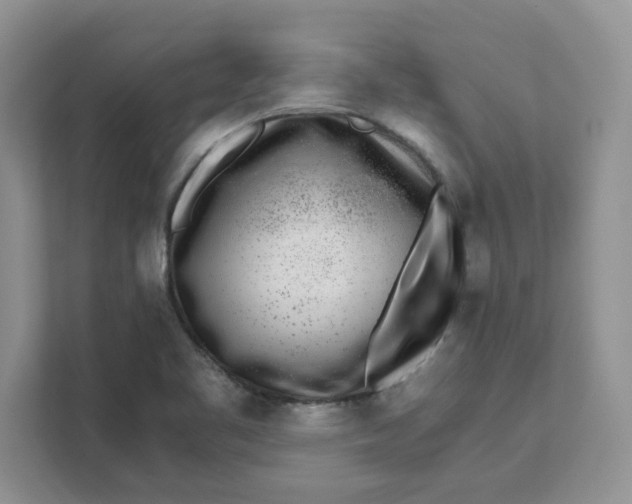 X0000111631461200908071401