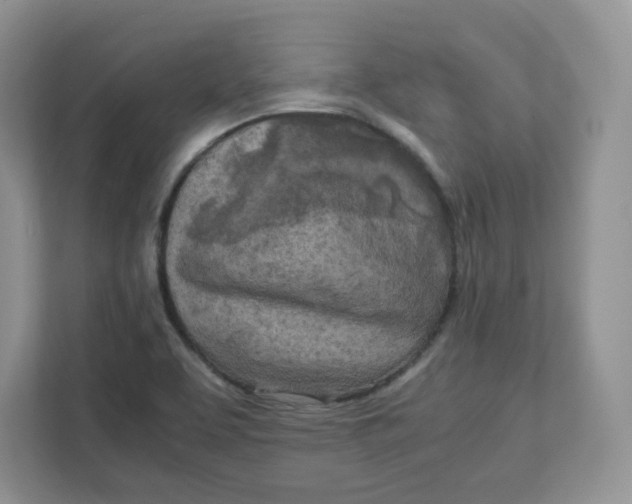 X0000111631463200908071401