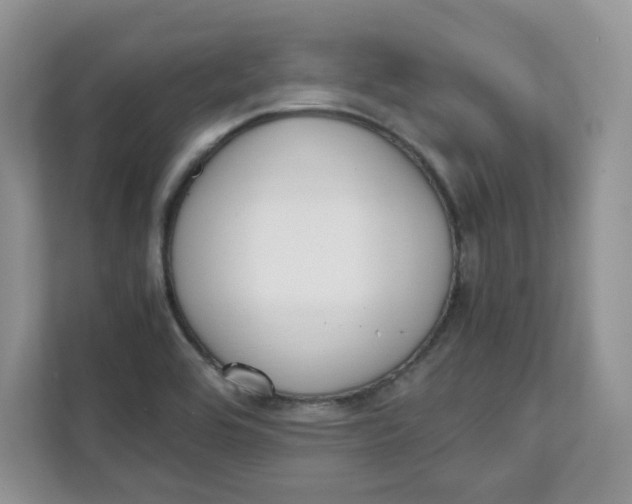 X0000111631464200908071401