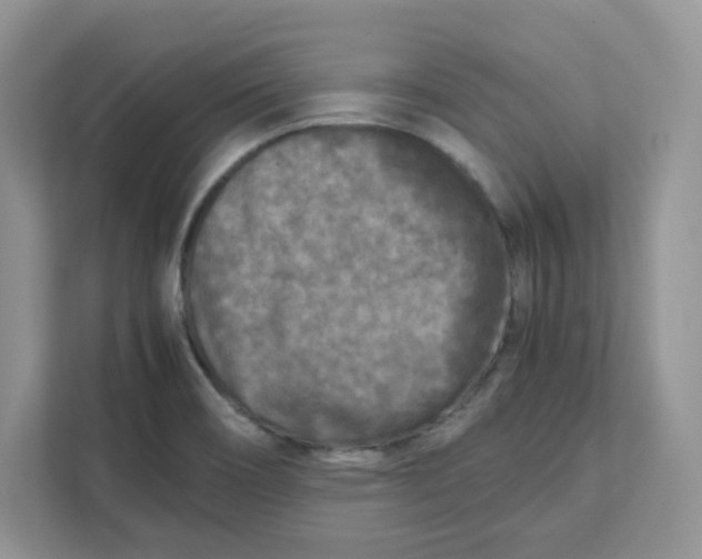 X0000111631466200908071401