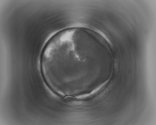 X0000111631468200908071401