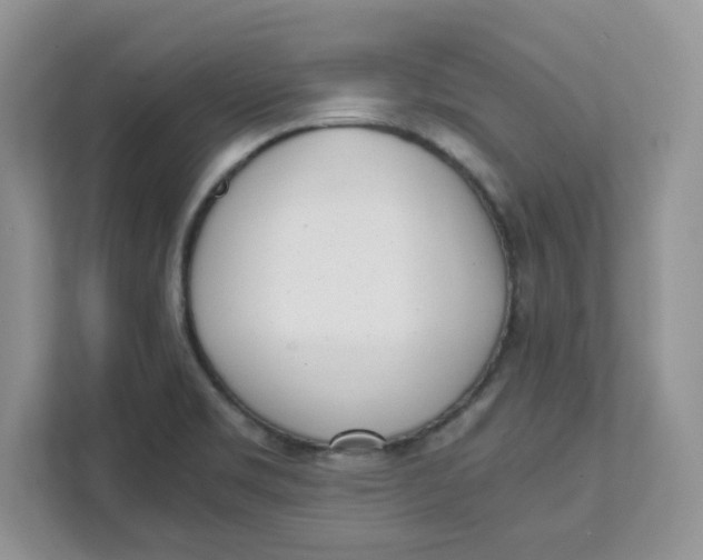 X0000111631469200908071401