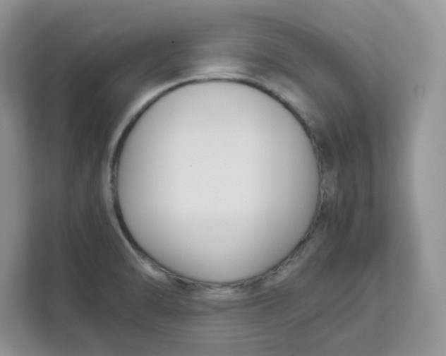 X0000111631470200908071401