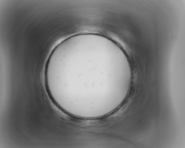 X0000111631471200908071401