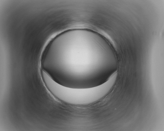 X0000111631472200908071401