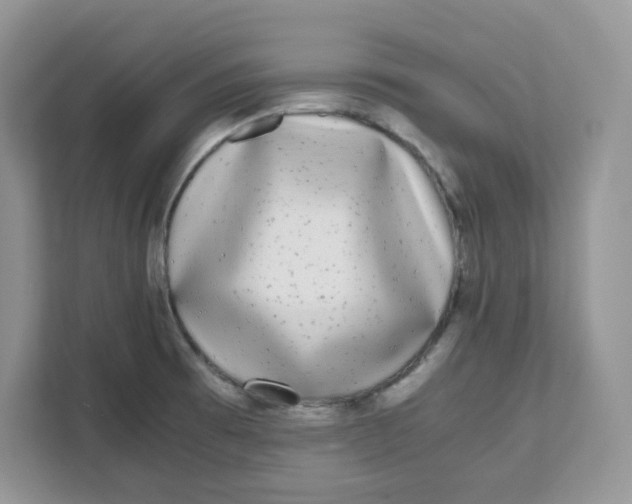 X0000111631473200908071401