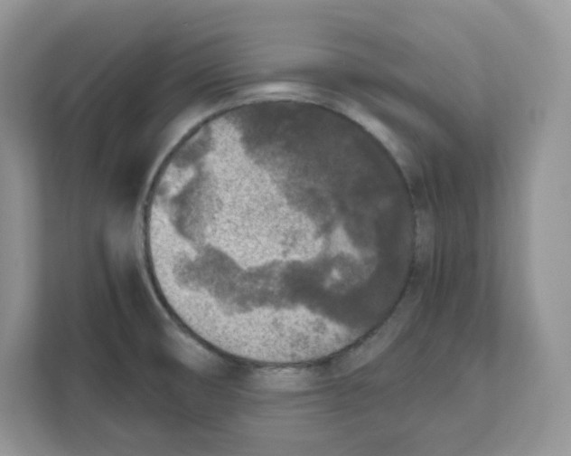 X0000111631474200908071401