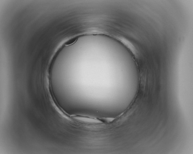 X0000111631476200908071401