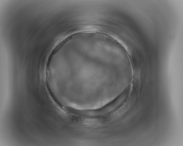 X0000111631477200908071401