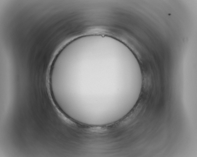 X0000111631478200908071401