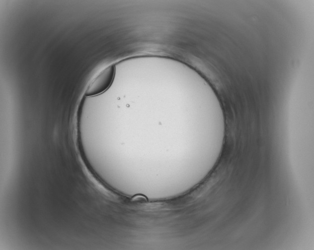 X0000111631479200908071401