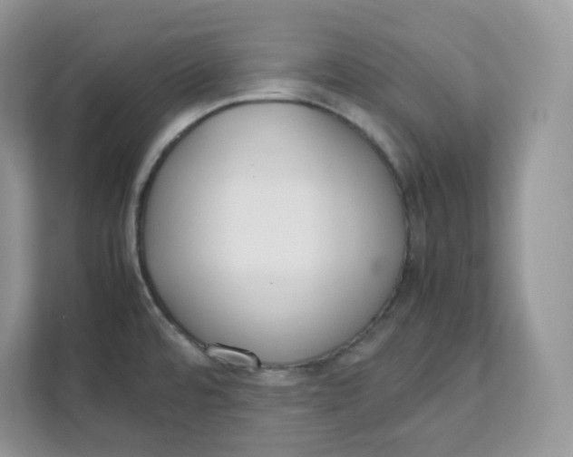 X0000111631480200908071401