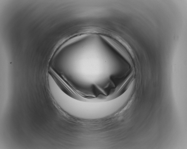 X0000111631481200908071401