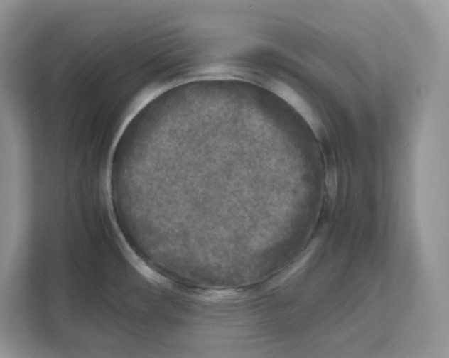 X0000111631482200908071401