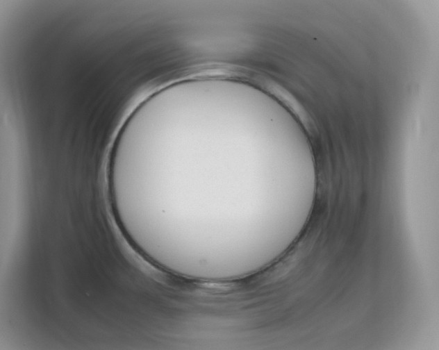 X0000111631483200908071401