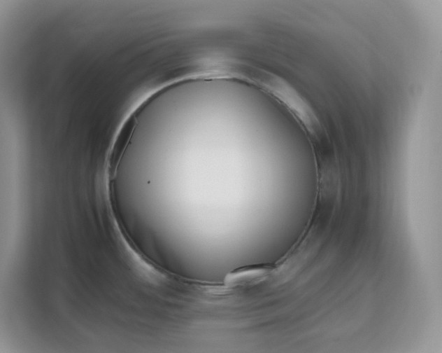 X0000111631484200908071401