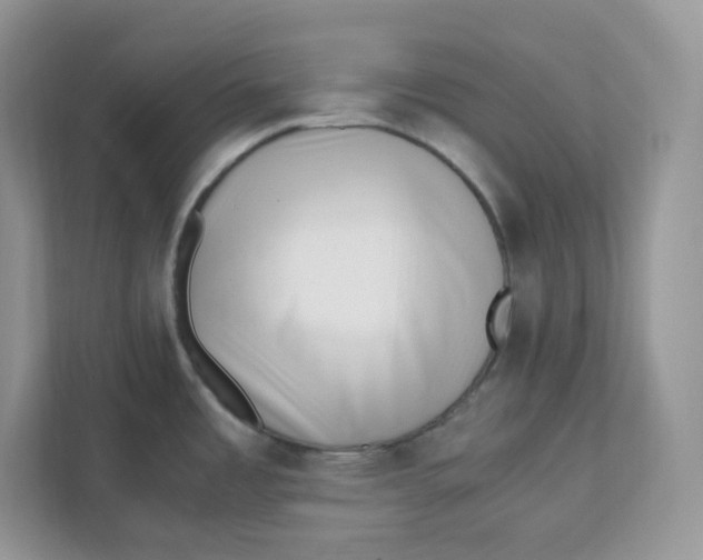 X0000111631485200908071401