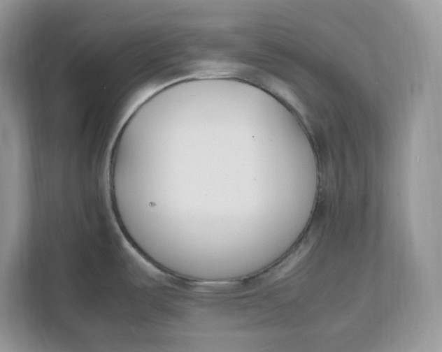 X0000111631487200908071401