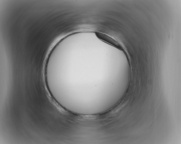 X0000111631488200908071401