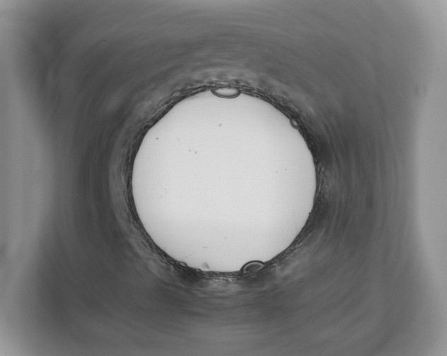 X0000111631489200908071400