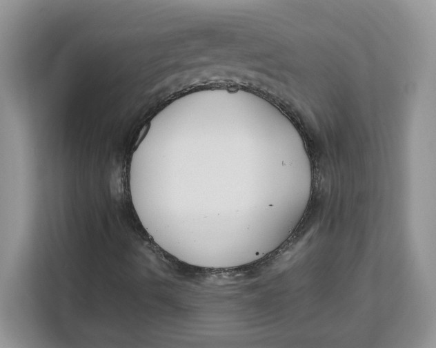 X0000111631490200908071400