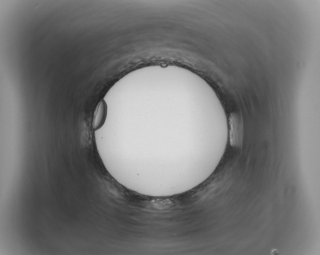 X0000111631491200908071400