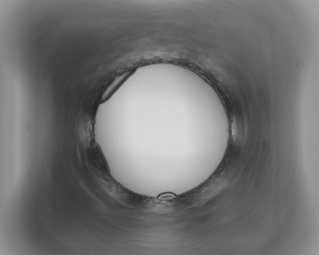 X0000111631492200908071400