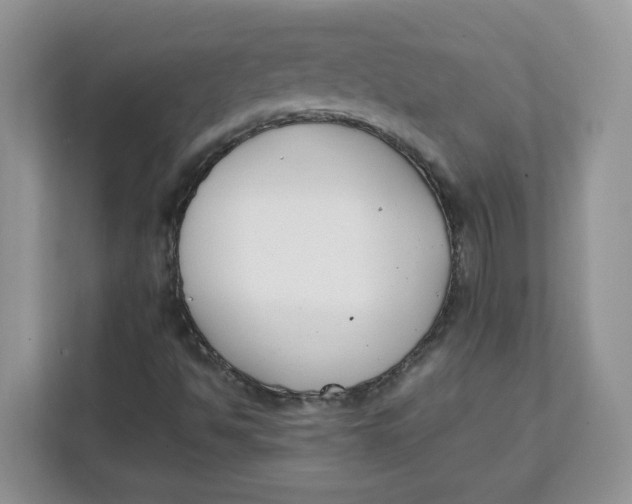 X0000111631494200908071400