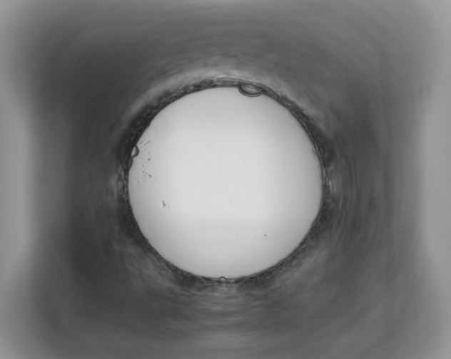 X0000111631495200908071400