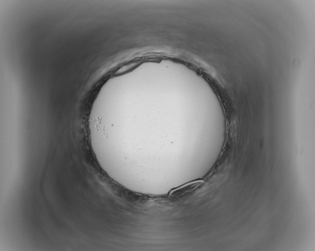 X0000111631496200908071400