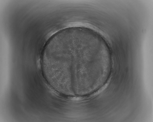 X0000111631497200908071400