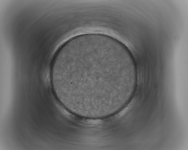 X0000111631498200908071400