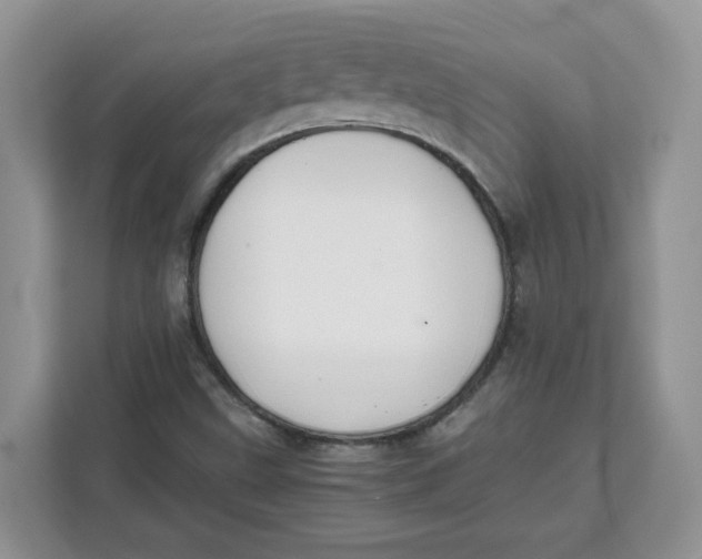 X0000111631499200908071400