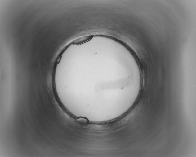 X0000111631500200908071400