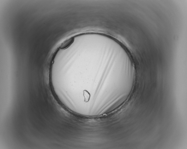 X0000111631504200908071400