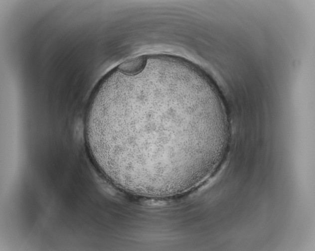 X0000111631505200908071400