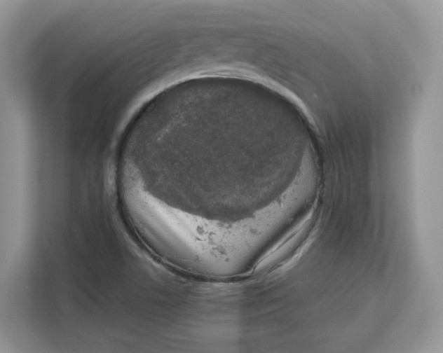 X0000111631506200908071400