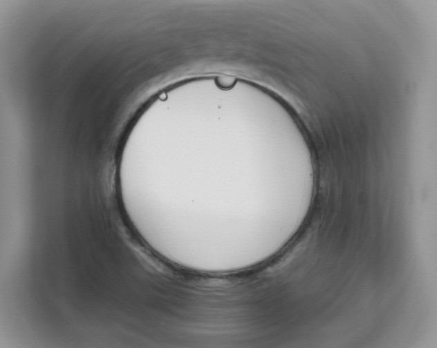 X0000111631507200908071400