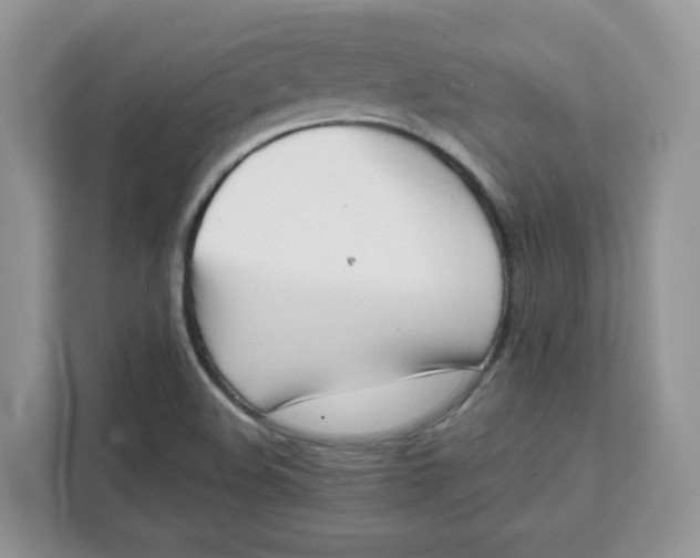 X0000111631508200908071400