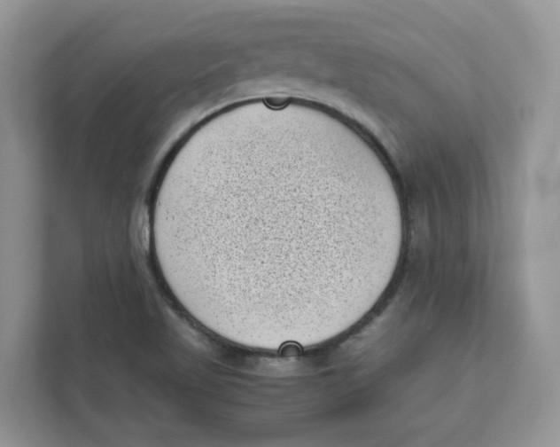 X0000111631509200908071400