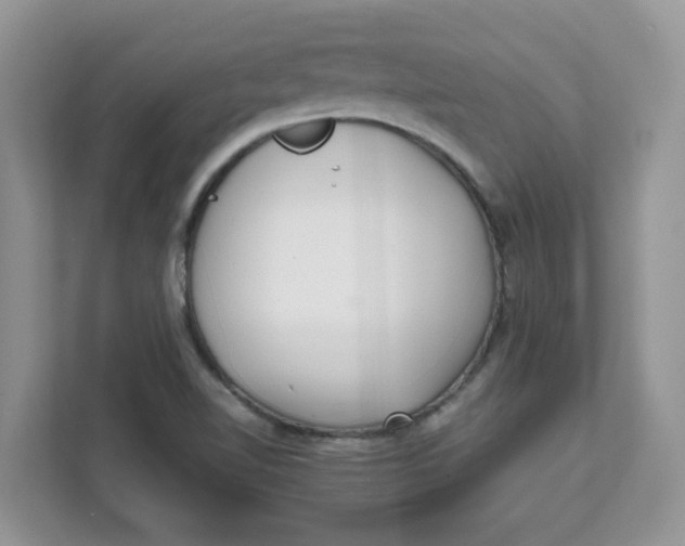 X0000111631510200908071400