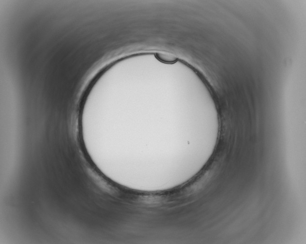 X0000111631511200908071400