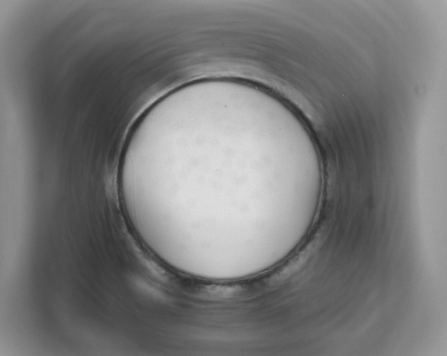 X0000111631513200908071400