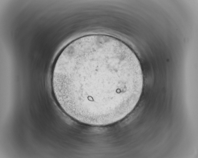 X0000111631514200908071400