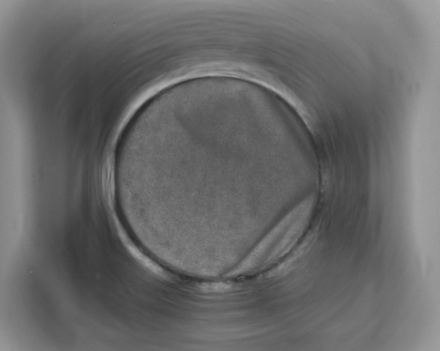 X0000111631515200908071400