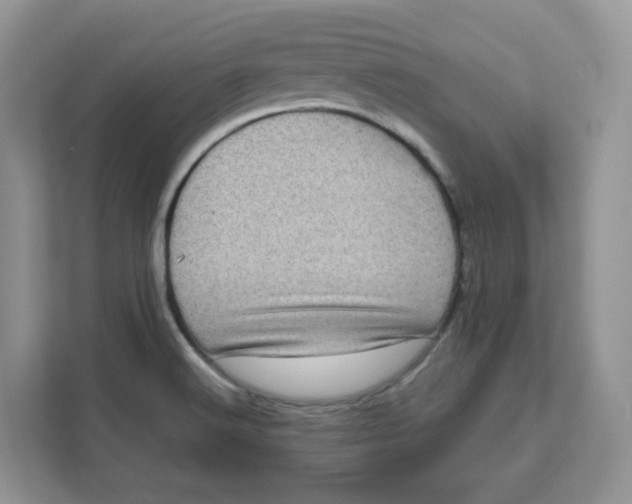 X0000111631516200908071400