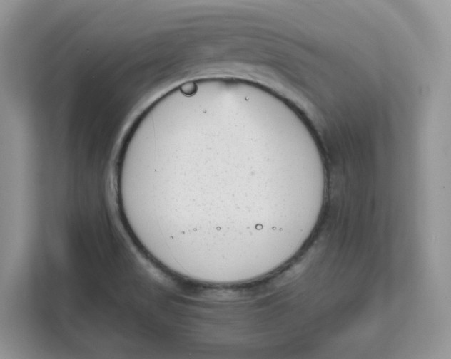 X0000111631517200908071400