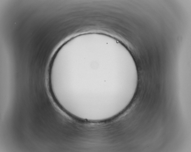 X0000111631518200908071400